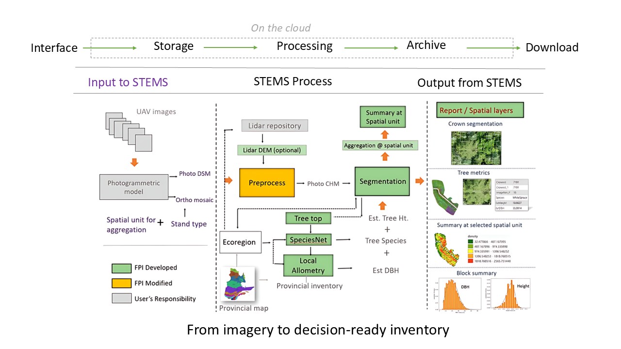 STEMS Process Flow